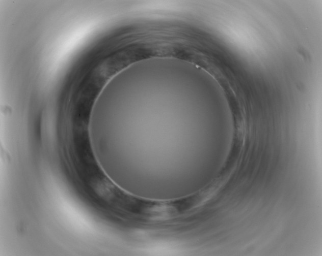 X0000091200383200708091311