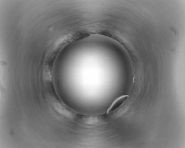 X0000091200384200708091311
