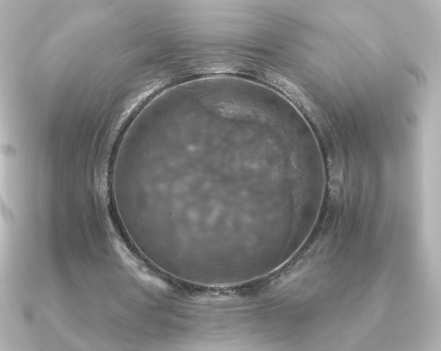 X0000091200386200708091311