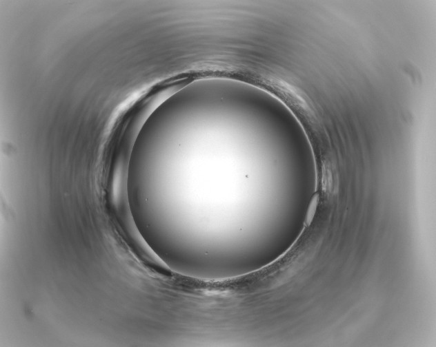 X0000091200388200708091311