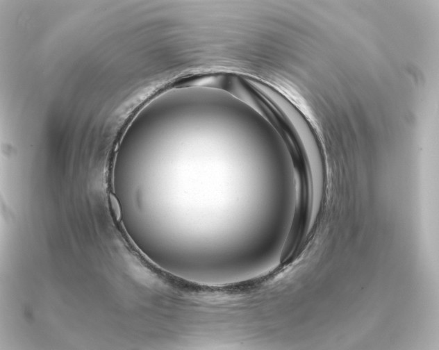 X0000091200389200708091311