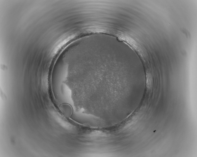 X0000091200390200708091311