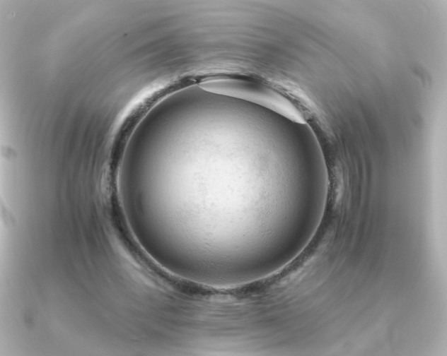 X0000091200392200708091311