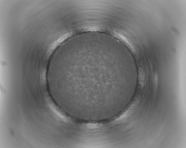 X0000091200394200708091311