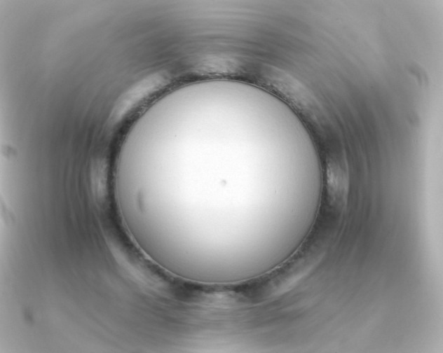 X0000091200396200708091311
