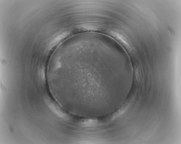 X0000091200398200708091311