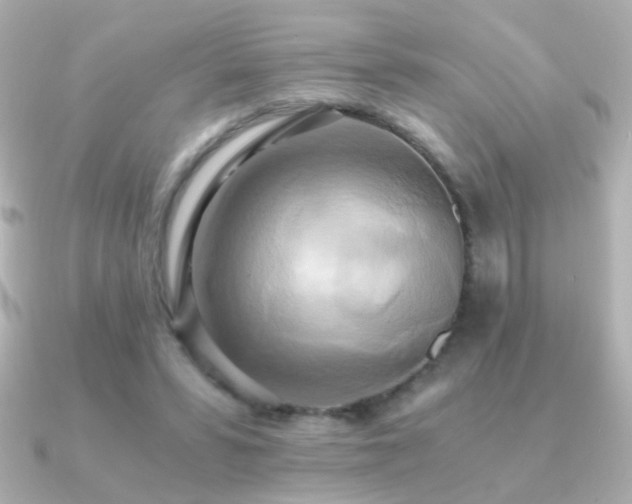 X0000091200399200708091311