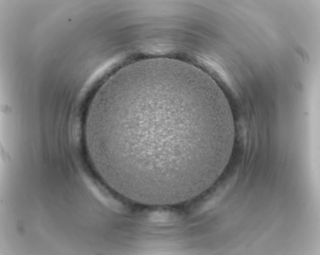 X0000091200400200708091310