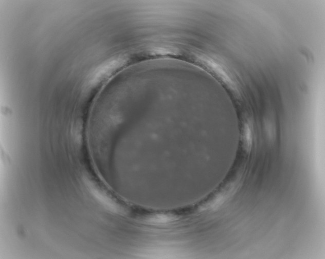 X0000091200402200708091310