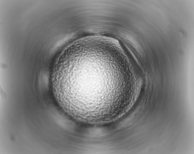 X0000091200404200708091310