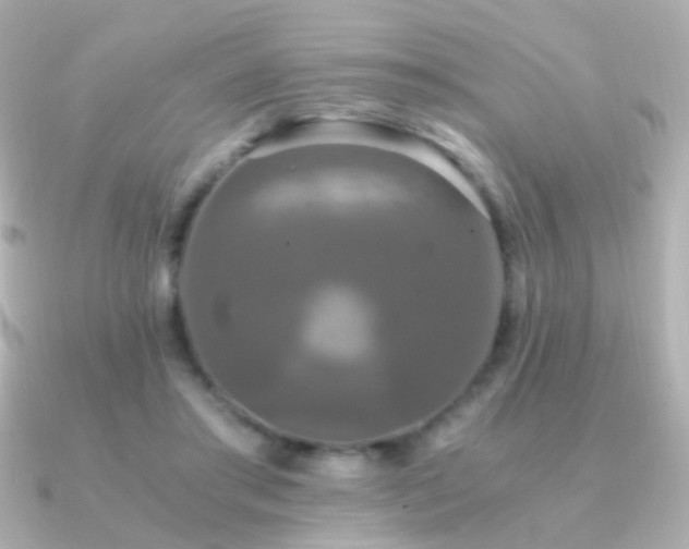 X0000091200405200708091310
