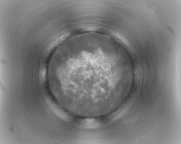 X0000091200406200708091310
