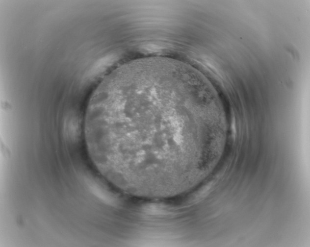 X0000091200408200708091310