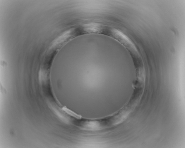 X0000091200409200708091310