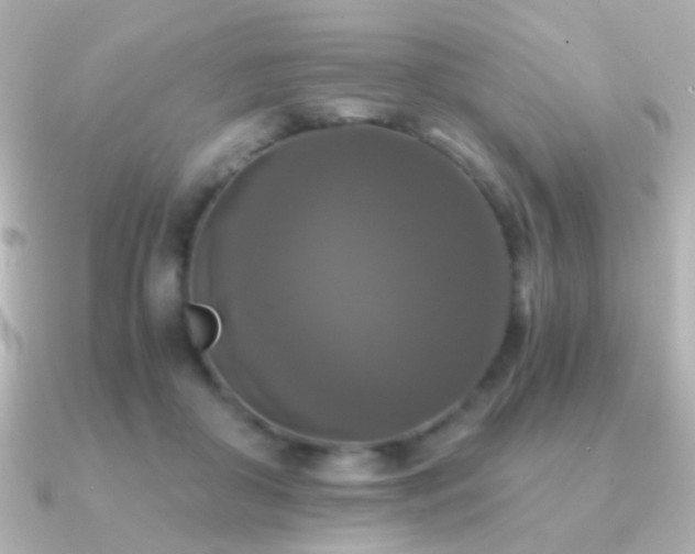 X0000091200410200708091310