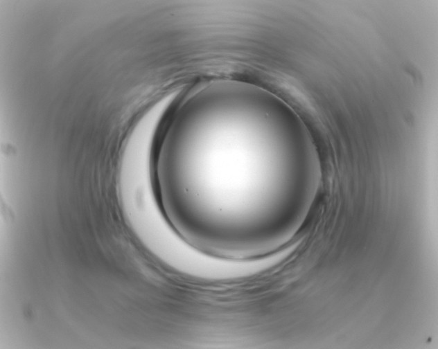 X0000091200411200708091310