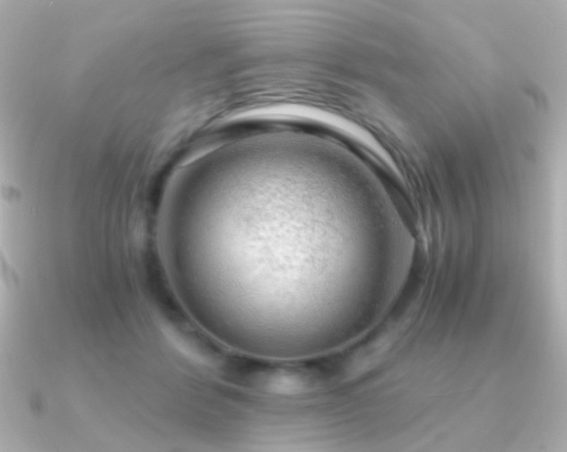 X0000091200412200708091310