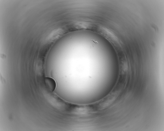 X0000091200414200708091310