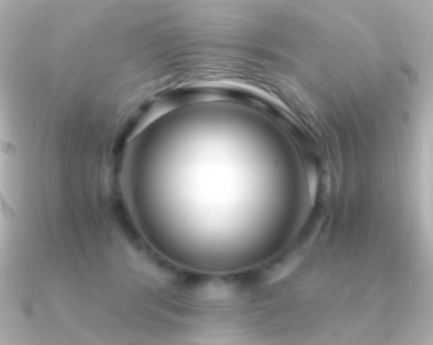X0000091200416200708091310