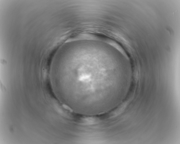 X0000091200417200708091310