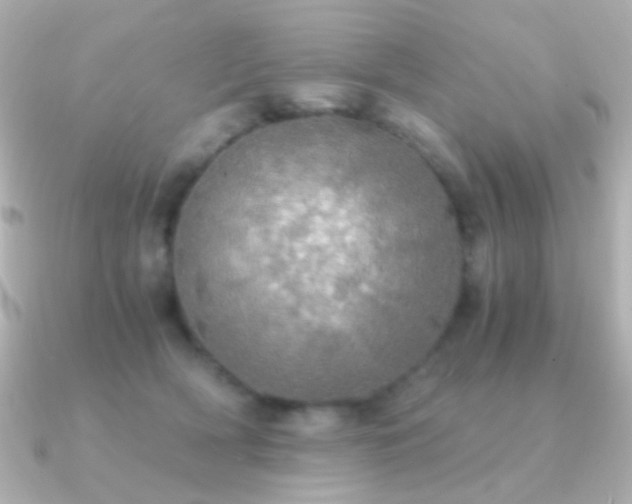 X0000091200418200708091310