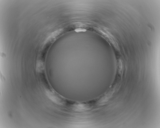 X0000091200419200708091310