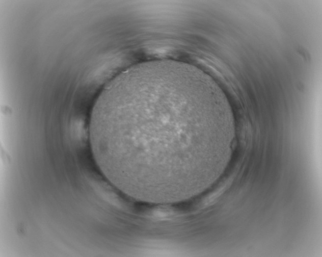 X0000091200420200708091310