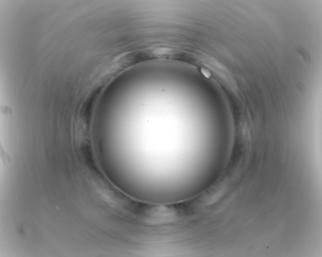 X0000091200421200708091310