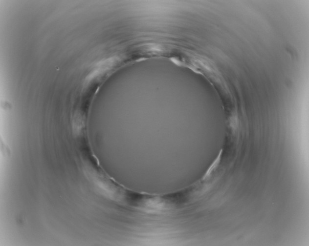 X0000091200423200708091310