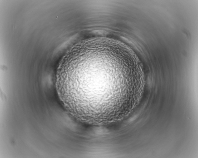 X0000091200424200708091310