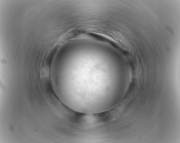 X0000091200425200708091310