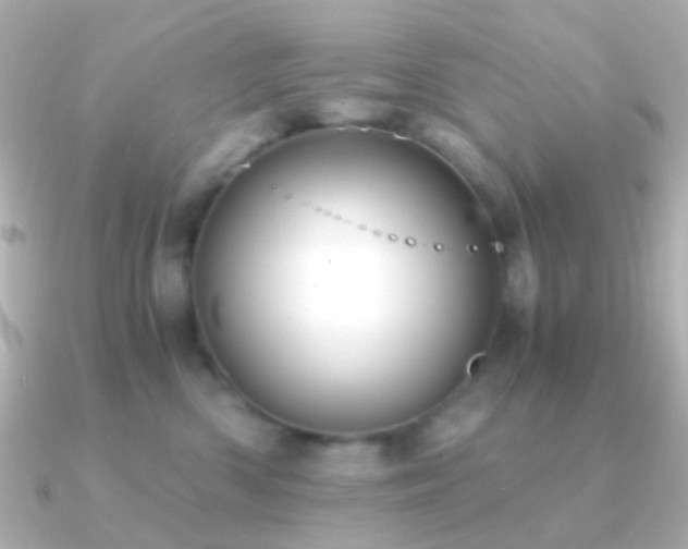 X0000091200426200708091310