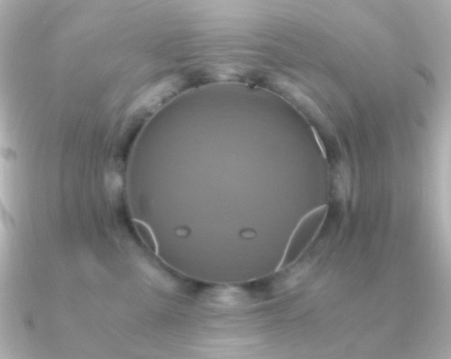 X0000091200427200708091310