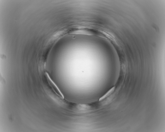 X0000091200429200708091310