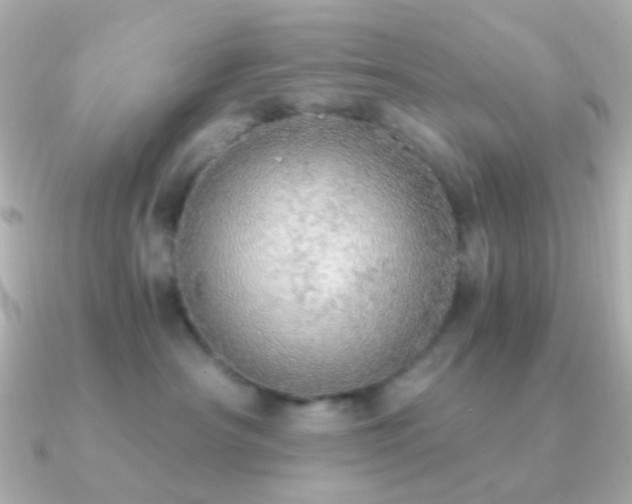 X0000091200430200708091310