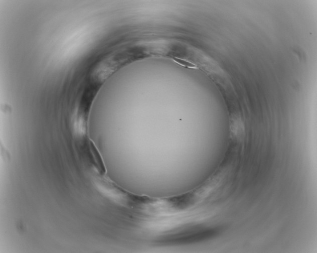 X0000091200431200708091310