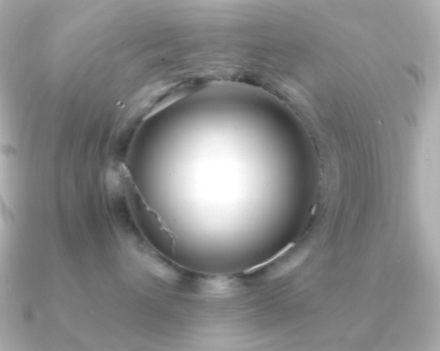 X0000091200432200708091310