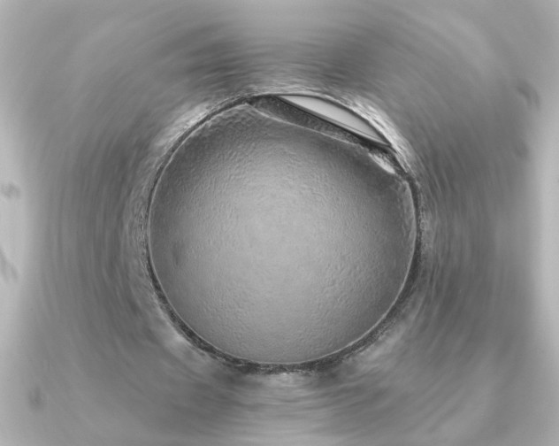 X0000091200433200708091310