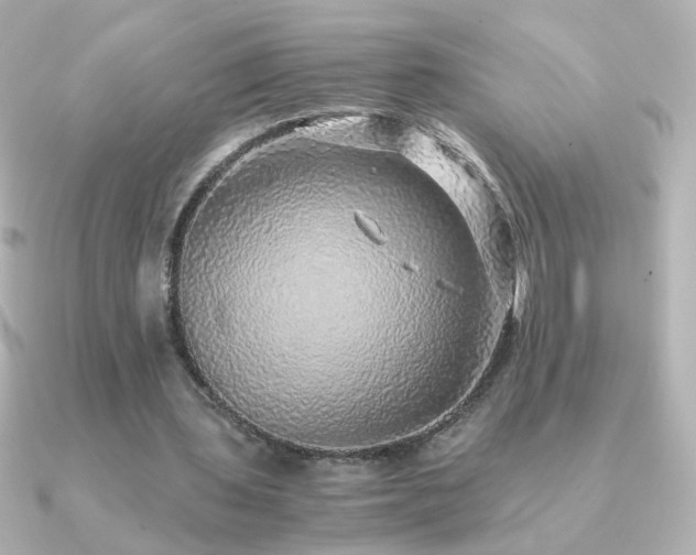 X0000091200435200708091310