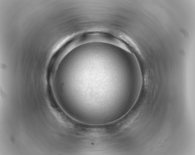 X0000091200436200708091310