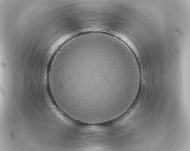 X0000091200437200708091310