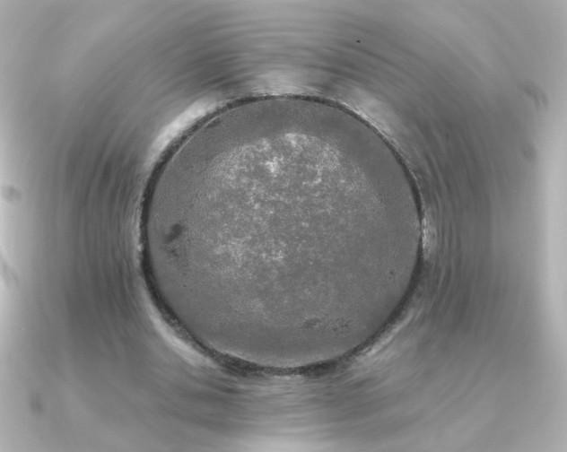 X0000091200438200708091310