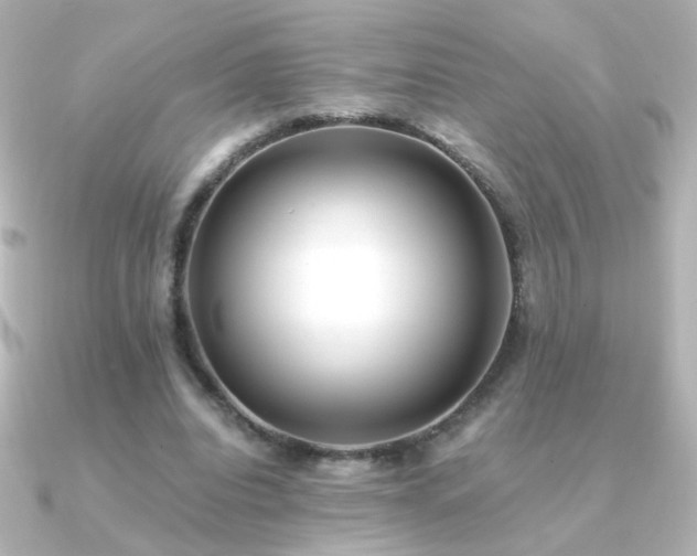 X0000091200440200708091310
