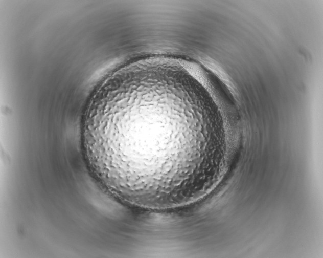 X0000091200442200708091310