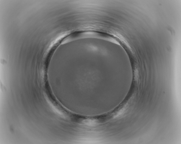 X0000091200444200708091310