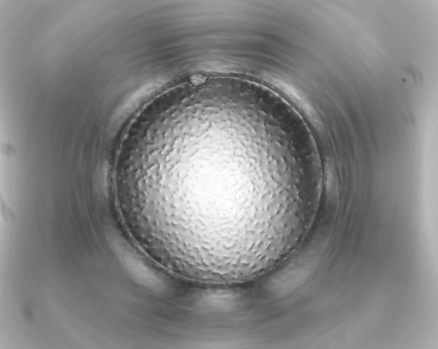 X0000091200445200708091310