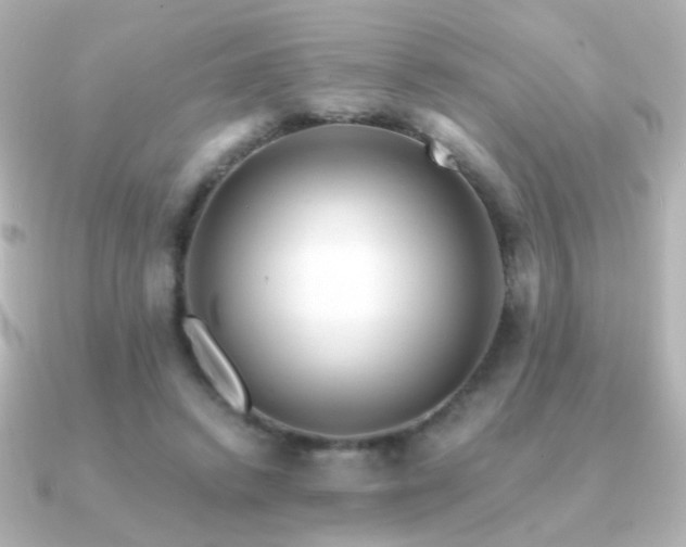 X0000091200448200708091310