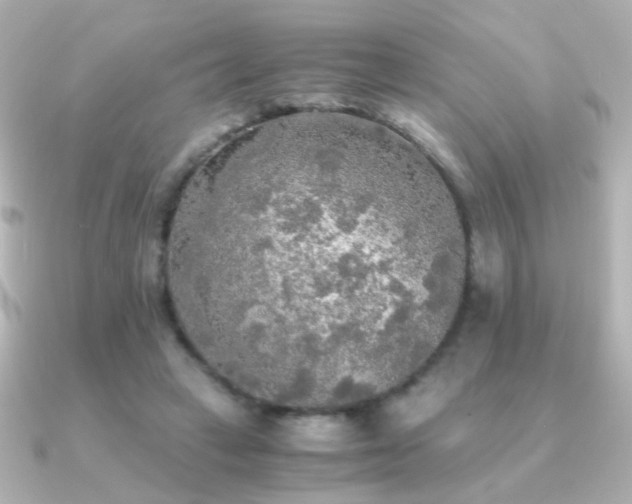 X0000091200449200708091310
