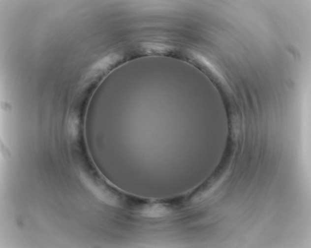 X0000091200451200708091310