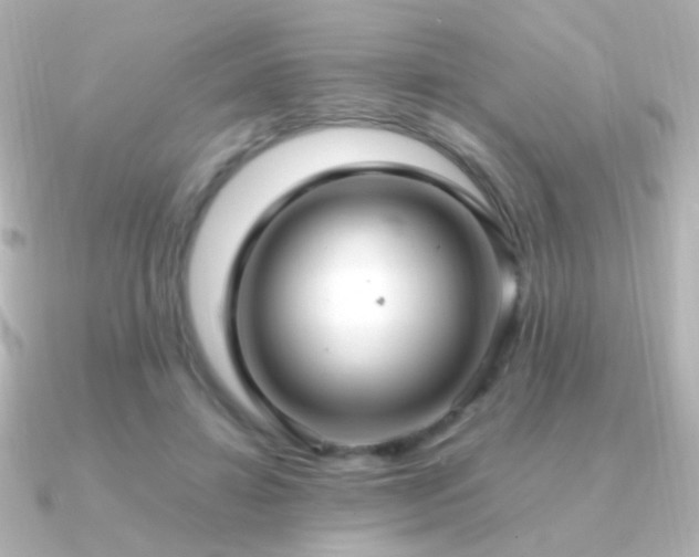 X0000091200452200708091310